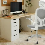 Home 4 Cadeira Ergonômica Eurynom