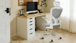 Home 16 Cadeira Ergonômica Eurynom