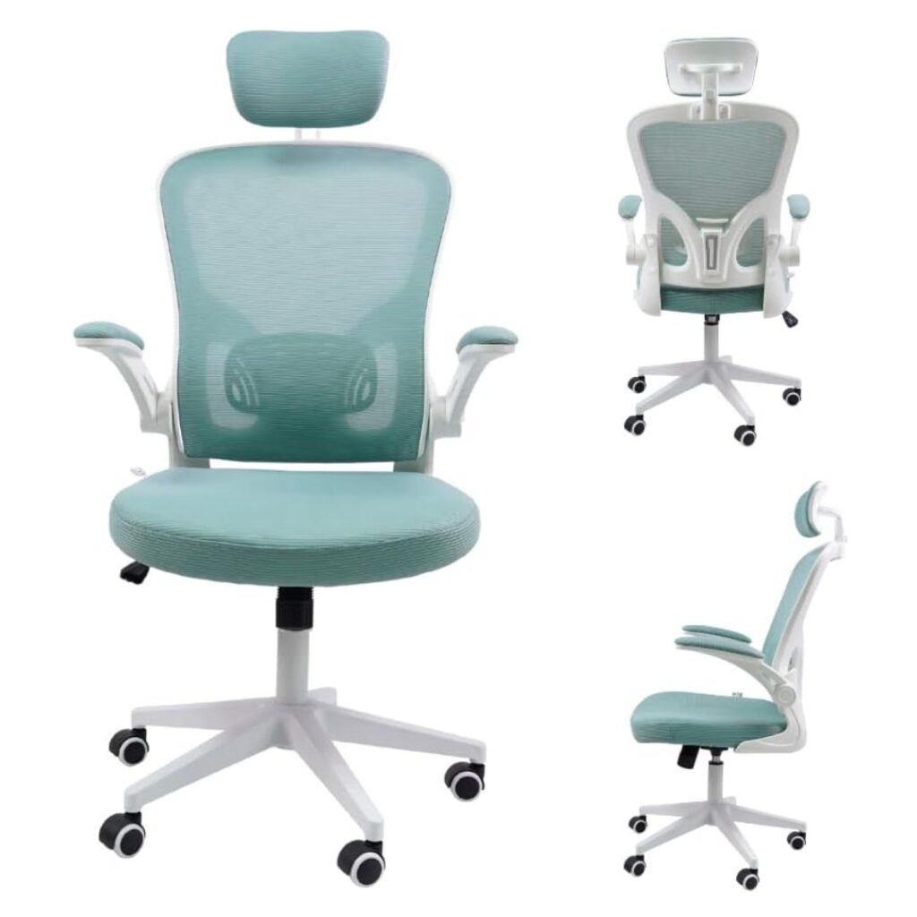 Cadeira Ergonomica Eurynom Azul Esverdeado