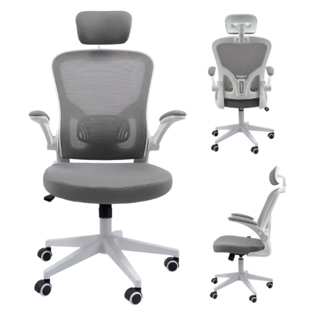 Cadeira Ergonomica Eurynom cinza